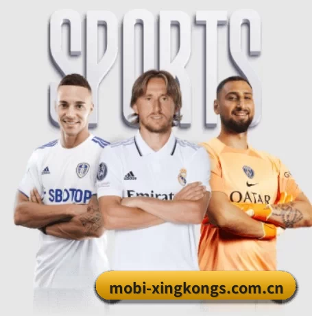 mobi-xingkongs.com.cn的方向
